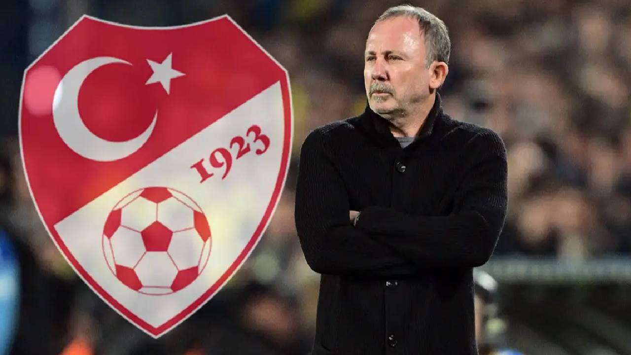 Sergen Yalçın'ın Milli Takım’dan alacağı maaş belli oldu: Tazminatı dudak uçuklattı, çuvalla para kazanacak! 3